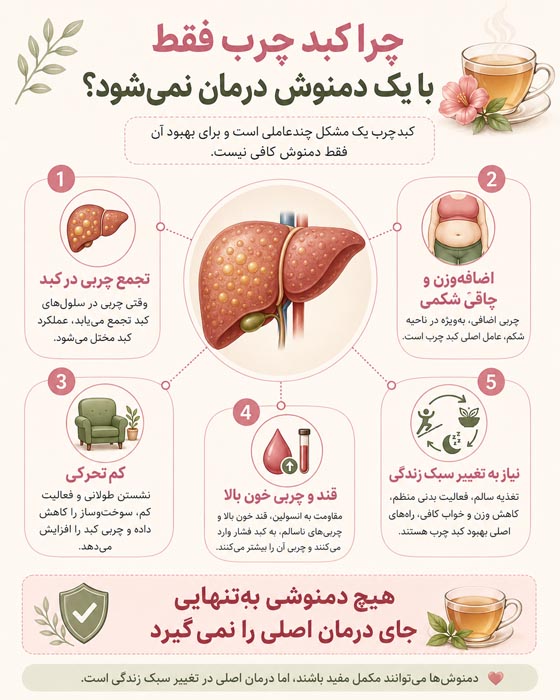 گل محمدی و باورهای مربوط به پاکسازی و بازسازی کبد