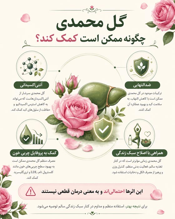 درمان کبد چرب با اصلاح سبک زندگی در کنار گل محمدی