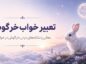 تعبیر خواب خرگوش چیست؟ معنی خرگوش سفید، سیاه، بچه خرگوش و ۴۰ حالت دیگر تعبیر خواب خرگوش