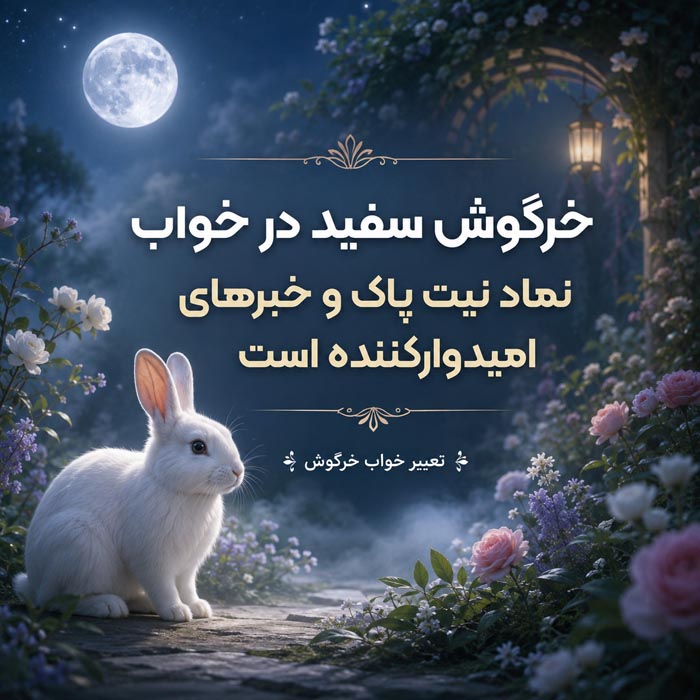 تعبیر خواب خرگوش چیست؟ معنی خرگوش سفید، سیاه، بچه خرگوش و ۴۰ حالت دیگر 6 خرگوش سفید در خواب