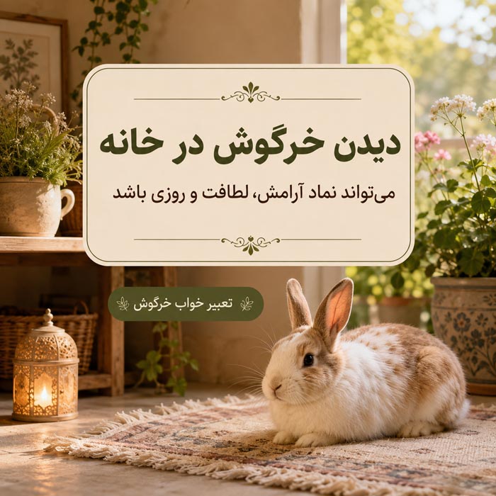 تعبیر خواب خرگوش چیست؟ معنی خرگوش سفید، سیاه، بچه خرگوش و ۴۰ حالت دیگر 4 دیدن خرگوش در خانه