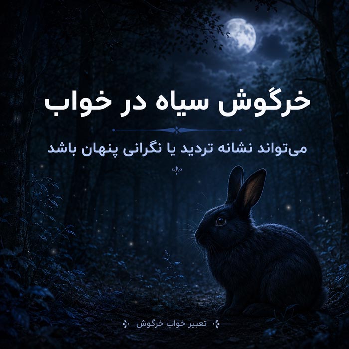 تعبیر خواب خرگوش چیست؟ معنی خرگوش سفید، سیاه، بچه خرگوش و ۴۰ حالت دیگر 3 خرگوش سیاه در خواب