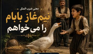 معنی ضرب المثل نیم‌ غاز بابام را می‌خواهم