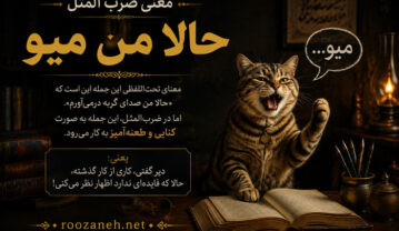 معنی ضرب المثل حالا من میو