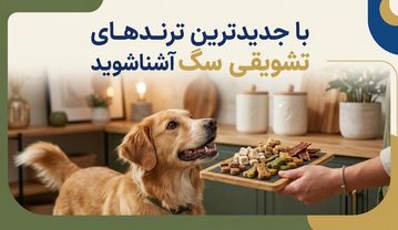 جدیدترین ترندهای تشویقی سگ