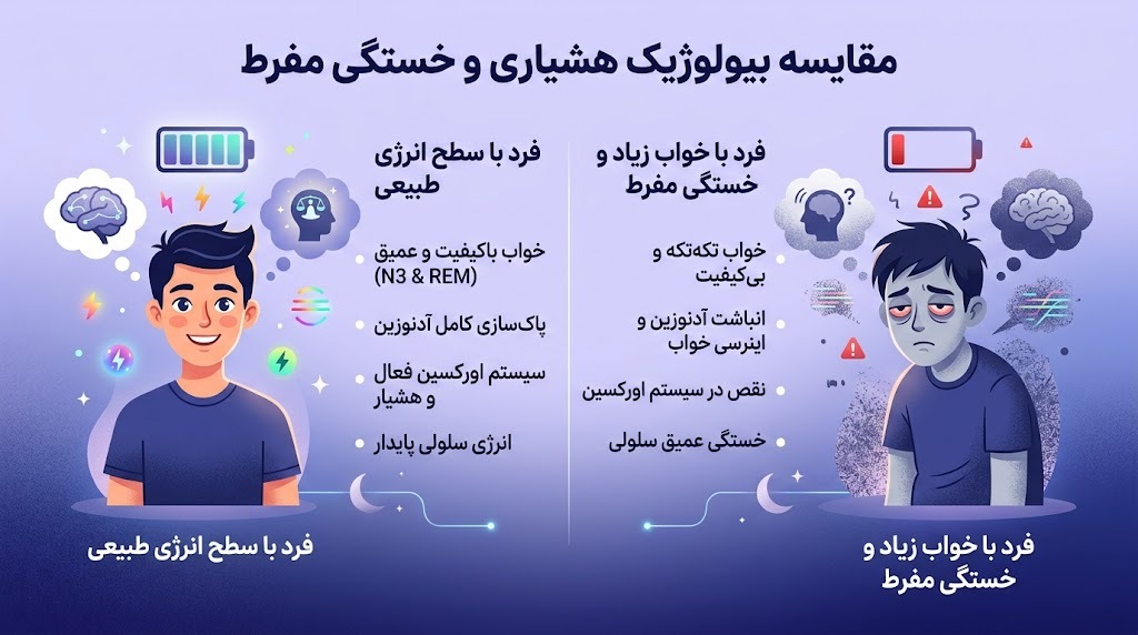 خواب و خستگی