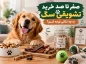 صفر تا صد خرید تشویقی سگ، به چه نکاتی توجه کنیم؟
