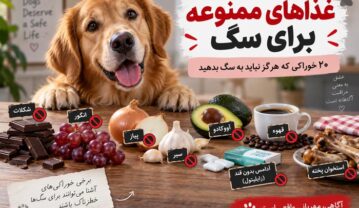 غذاهای ممنوعه برای سگ؛ ۲۰ خوراکی که هرگز نباید به سگ بدهید غذاهای ممنوعه برای سگ