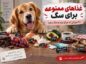 غذاهای ممنوعه برای سگ؛ ۲۰ خوراکی که هرگز نباید به سگ بدهید غذاهای ممنوعه برای سگ