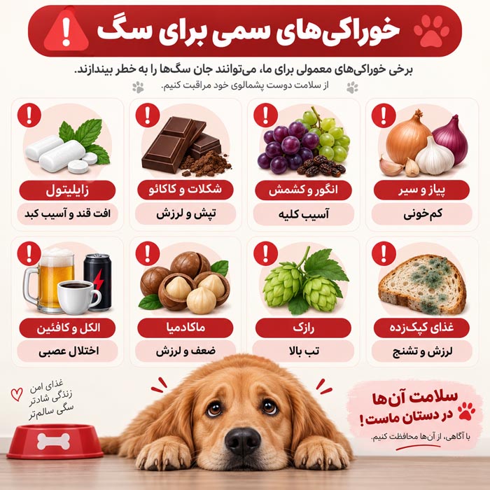 انگور و کشمش از غذاهای خطرناک برای سگ