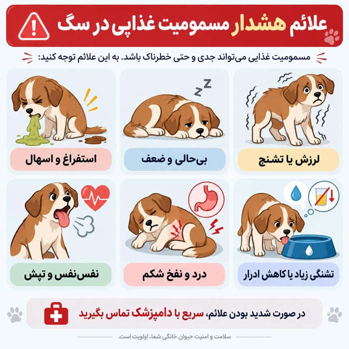 استخوان و خوراکی های خطرناک برای سگ