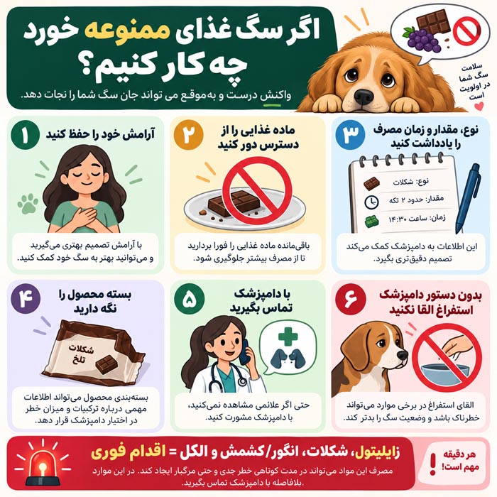 اقدام فوری در صورت خوردن غذای ممنوعه توسط سگ