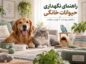 نگهداری حیوانات خانگی در خانه