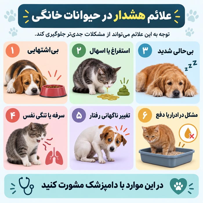 راهنمای کامل نگهداری حیوانات خانگی در خانه؛ از تغذیه و بهداشت تا تربیت و سلامت 5 تربیت بازی و نگهداری حیوان خانگی در آپارتمان