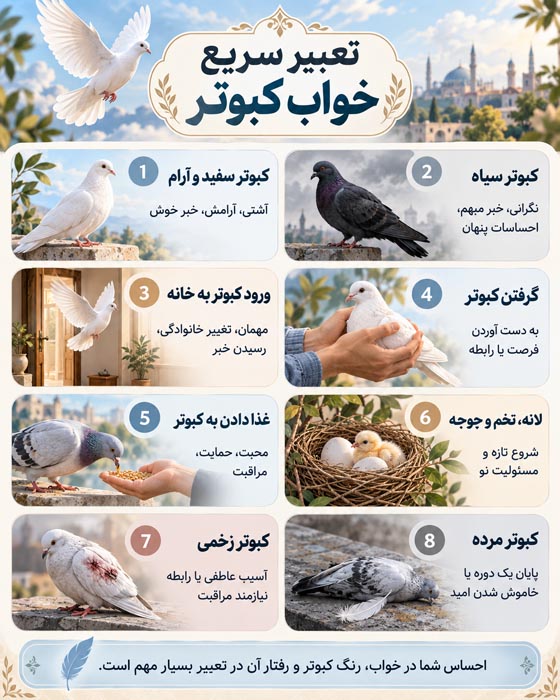 KHAB KABOOTAR 2