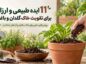 تقویت خاک
