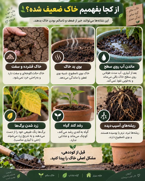 خاک ضعیف گلدان