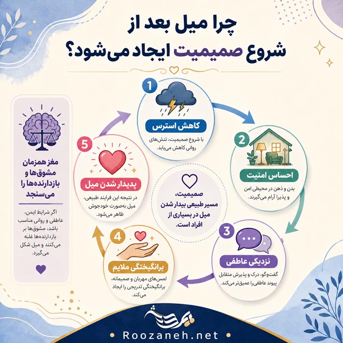 چرا قبل از معاشقه میل ندارم؟ میل جنسی واکنشی چیست و چگونه شکل میگیرد؟ 8 اینفوگرافیک گفتوگو با همسر درباره تفاوت میل
