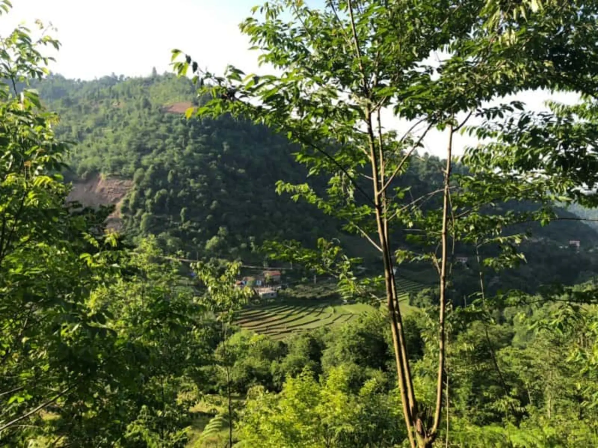 آبشار زمرد حویق کجاست؟ راهنمای کامل سفر به آبشار دوقلوی تالش 10 چشم انداز آبشار زمرد حویق گیلان