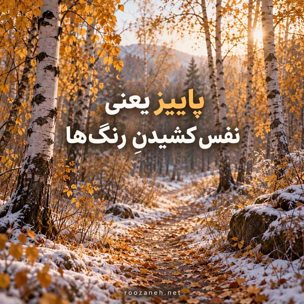 زیباترین عکس پاییزی دنیا
