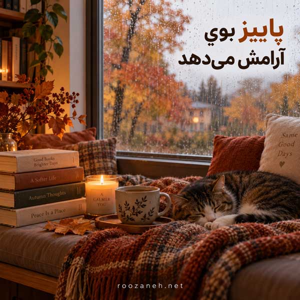 زیباترین عکس پاییزی دنیا
