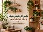 عکس گل طبیعی شیک با دکور دیواری چوبی؛ ۴۹ ایده لوکس و کمهزینه گل طبیعی با دکور دیواری چوب