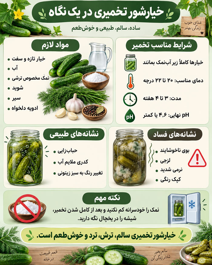 خیارشور تخمیری چیست و چه خواصی دارد؟ طرز تهیه خیارشور تخمیری بدون سرکه