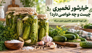 خیارشور تخمیری