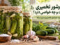 خیارشور تخمیری چیست و چه خواصی دارد؟ طرز تهیه خیارشور تخمیری بدون سرکه خیارشور تخمیری