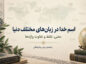 اسم خدا