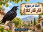 انشا در مورد قار قار کلاغ | مجموعه جدید و خلاقانه برای دانشآموزان انشا در مورد قار قار کلاغ