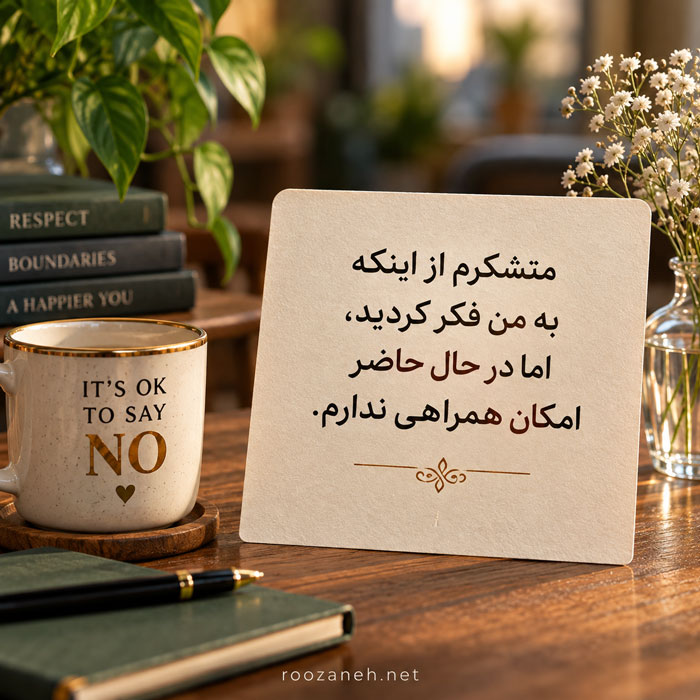 متن محترمانه نه گفتن به درخواست پول