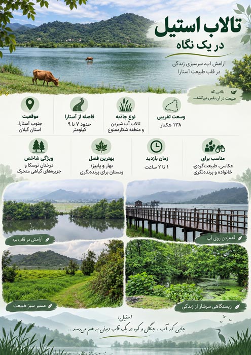 تالاب استیل آستارا کجاست؟ راهنمای مسیر، بهترین فصل سفر و دیدنی‌های اطراف