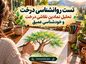 تست روانشناسی درخت