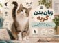 زبان بدن گربه