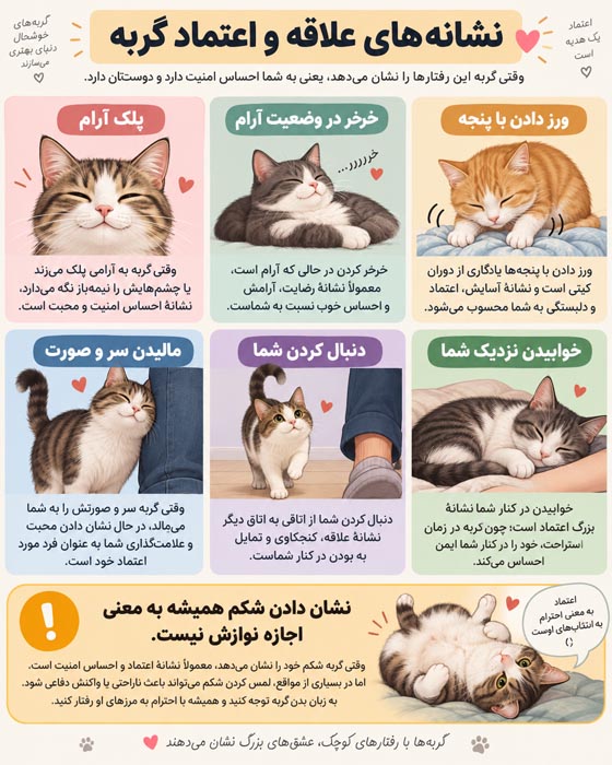 زبان بدن گربه؛ معنی ۳۰ رفتار گربه از دم و گوش تا چشم، خرخر و گاز گرفتن 4 زبان بدن گربه؛ معنی ۳۰ رفتار گربه از دم و گوش تا چشم، خرخر و گاز گرفتن