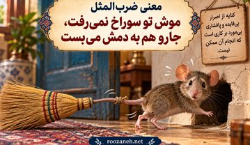 معنی ضرب المقل موش تو سوراخ نمیرفت، جارو هم به دمش میبست (داستان و معنوی لغوی) معنی ضرب المقل موش تو سوراخ نمیرفت