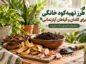 طرز تهیه کود خانگی برای گلدان و گیاهان آپارتمانی؛ روشهای کاربردی و نکات مصرف طرز تهیه کود خانگی