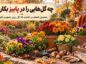 چه گل‌هایی را در پاییز بکاریم