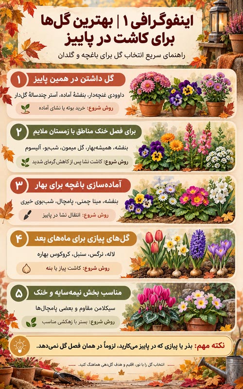 چه گل‌هایی را در پاییز بکاریم؟ راهنمای انتخاب و کاشت ۱۵ گل برای باغچه و گلدان
