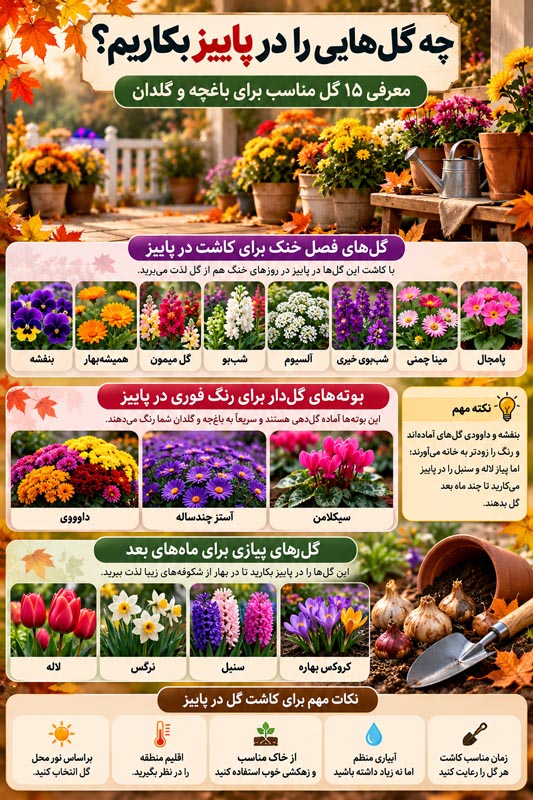چه گل‌هایی را در پاییز بکاریم؟ راهنمای انتخاب و کاشت ۱۵ گل برای باغچه و گلدان