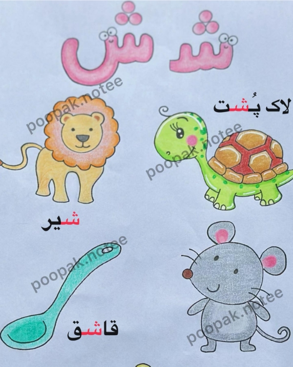 آموزش حرف شـ و ش برای کلاس اول دبستان؛ کلمات آسان و سخت، شعر و روانخوانی 3 کلمات با شـ در اول کلمه
