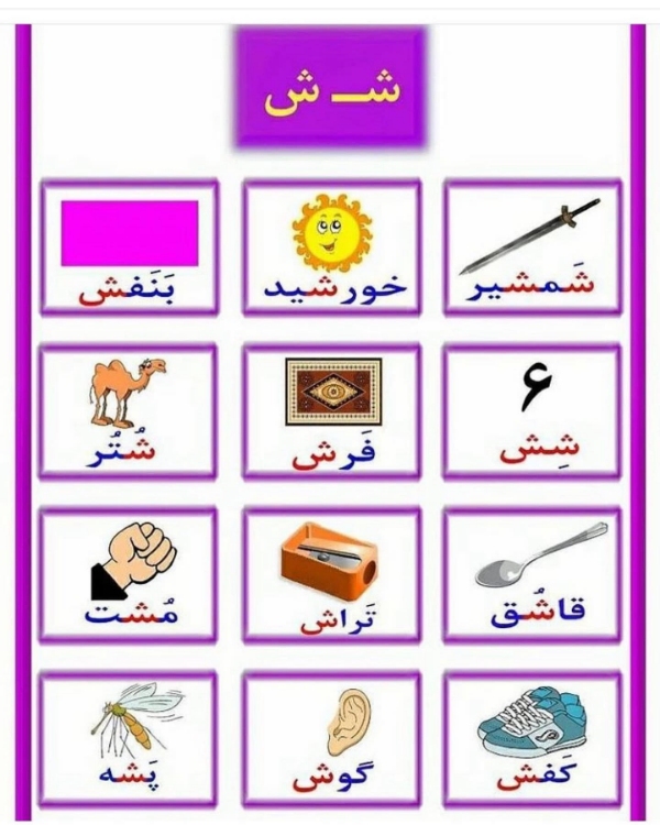 آموزش حرف شـ و ش برای کلاس اول دبستان؛ کلمات آسان و سخت، شعر و روانخوانی 5 جملهسازی با حرف ش