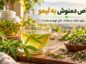 خواص دمنوش به لیمو؛ فواید برای خواب و معده، طرز تهیه و مضرات خواص دمنوش به لیمو