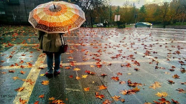 انشا درباره باران پاییزی | مجموعه جدید و توصیفی برای همه پایهها 2 باران پاییزی، همنوای دل من