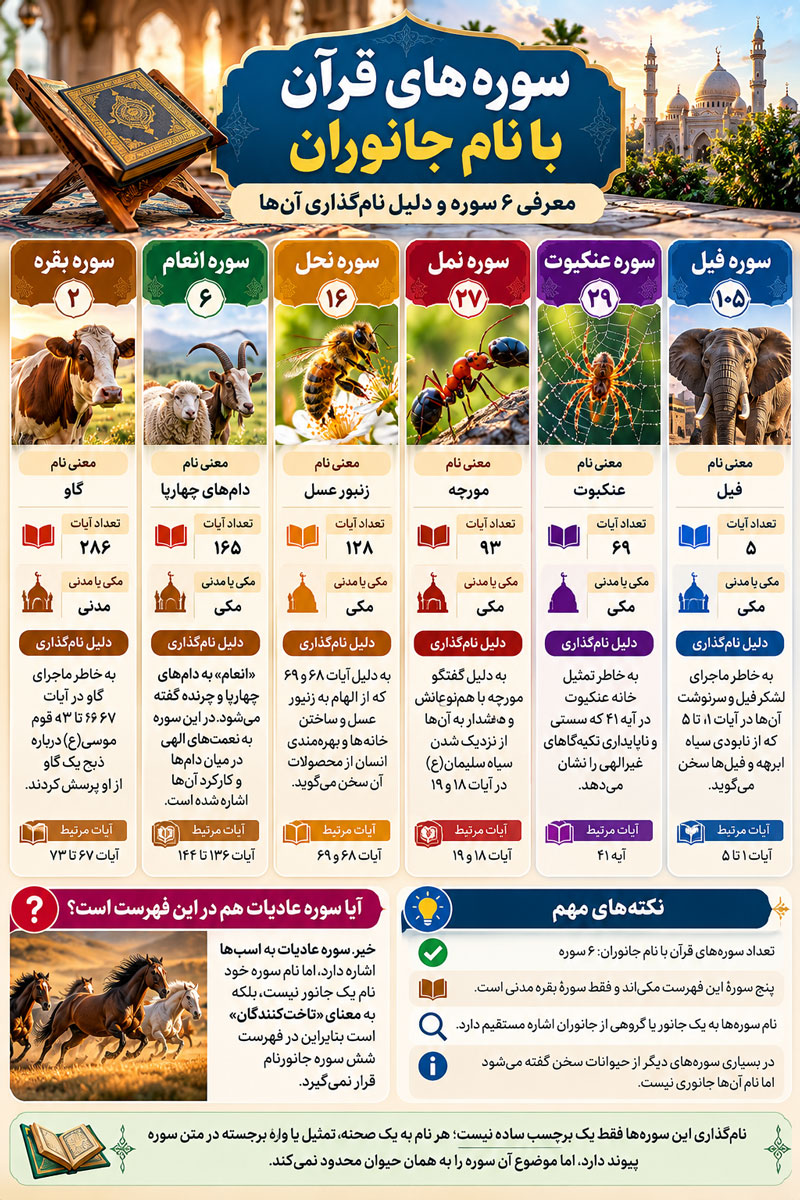 سورههای قرآن با نام جانوران؛ معرفی ۶ سوره و دلیل نامگذاری آنها 2 سورههای قرآن با نام جانوران؛ معرفی ۶ سوره و دلیل نامگذاری آنها