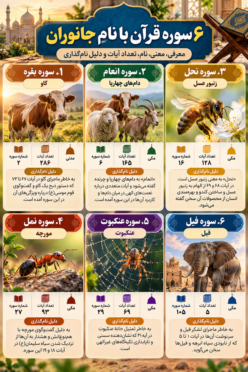 سورههای قرآن با نام جانوران؛ معرفی ۶ سوره و دلیل نامگذاری آنها 3 سورههای قرآن با نام جانوران؛ معرفی ۶ سوره و دلیل نامگذاری آنها