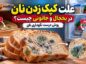 علت کپک زدن نان در یخچال و جانونی؛ روش درست نگهداری نان کپک زدن نان در یخچال