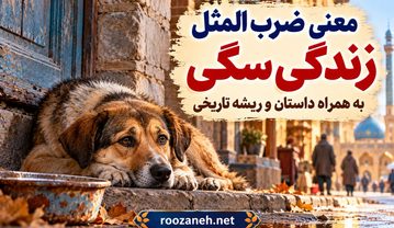 معنی ضرب المثل زندگی سگی + داستان و ریشه تاریخی معنی ضرب المثل زندگی سگی