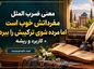معنی ضرب المثل مفرداتش خوب است